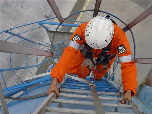 TECHNELEC Echelle antichute